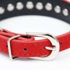 Ошейник «Бархат и стразы», 31×1.3/2 см, ОШ 22-28 см, красный - Фото 3