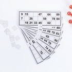 Русское лото "На каждый день", 24 карточки, карточка 8 х 22 см, бочонки из дерева - Фото 3