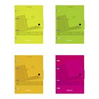 Тетрадь на кольцах А5, 80 листов в клетку, Erich Krause Neon, пластиковая обложка на кнопке, МИКС - Фото 1