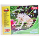 Конструктор деревянный 3D "Лягушка" - Фото 1