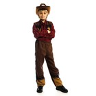 Карнавальный костюм «Ковбой», шляпа, рубашка, жилетка, брюки, р. 28, рост 110 см, 3-5 лет - Фото 1