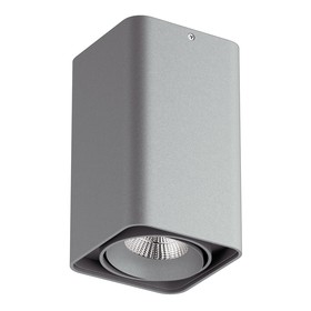 

Светильник MONOCCO 10Вт LED 4000K серый 10x10x17см