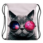 Сумка-мешок для сменной обуви Cat in glasses - Фото 1