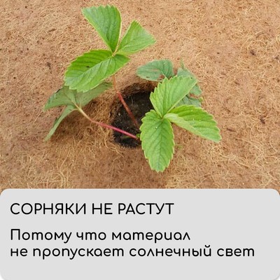 Мульча кокосовая в рулоне, 10×1 м, Greengo