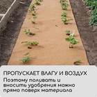 Кокосовое полотно для мульчирования, 3 × 1 м, «Мульчаграм» - Фото 5