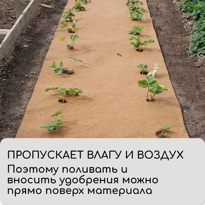Мульча кокосовая в рулоне, 3×1 м, Greengo