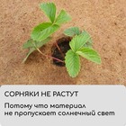 Кокосовое полотно для мульчирования, 3×1 м, «Мульчаграм» - Фото 6