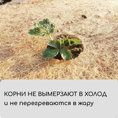 Мульча кокосовая в рулоне, 3×1 м, Greengo