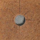 Круг приствольный, d = 0,6 м, из кокосового полотна, набор 5 шт., «Мульчаграм» - Фото 10