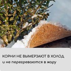 Круг приствольный, d=0.4 м, из кокосового полотна, набор 5 шт., «Мульчаграм» - Фото 7
