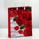 Пакет "Пиано", мягкий пластик, 140 мкм , 40 х 30 см - Фото 1