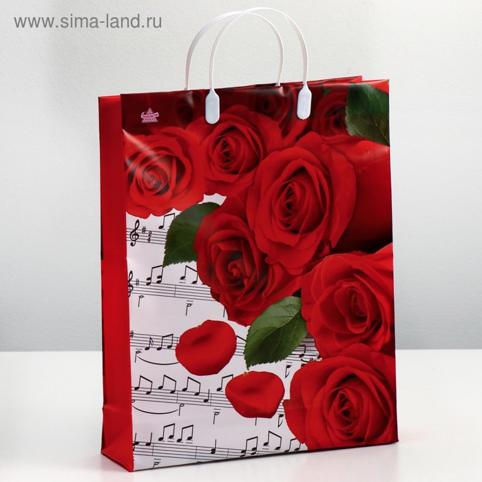 Пакет "Пиано", мягкий пластик, 140 мкм , 40 х 30 см - Фото 1