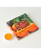 Набор свечей ароматических чайных «Зимний мандарин», 10 г, 9 шт. - Фото 7