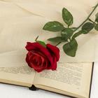 Цветы искусственные "Роза" 56 см d-8,5 см, красный - фото 319776027