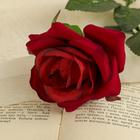 Цветы искусственные "Роза" 56 см d-8,5 см, красный - Фото 2