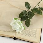 Цветы искусственные "Роза" 56 см d-8,5 см, белый - фото 317817428