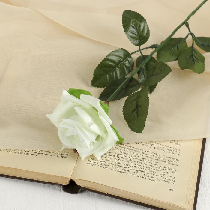 Цветы искусственные "Роза" 56 см d-8,5 см, белый - Фото 1