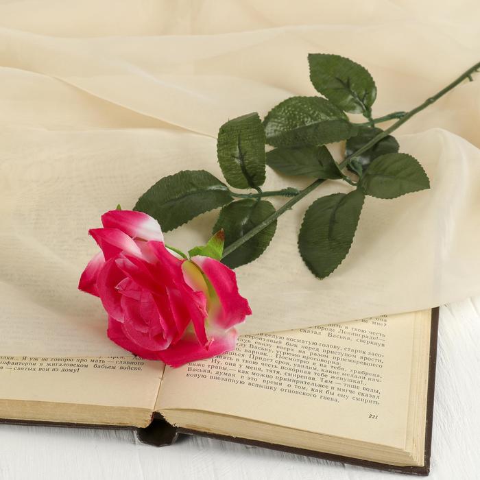 Цветы искусственные "Роза" 56 см d-8,5 см, розовый - Фото 1