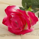 Цветы искусственные "Роза" 56 см d-8,5 см, розовый - фото 8641979