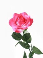 цветы искусственные роза 56 см d-8,5 см розовая - фото 809293799