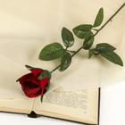Цветы искусственные "Роза" 63 см, d-5 см, красный - фото 317817430
