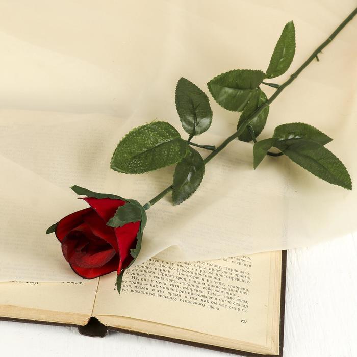 Цветы искусственные "Роза" 63 см, d-5 см, красный - Фото 1