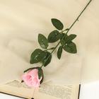 Цветы искусственные "Роза" 63 см, d-5 см, розовый - фото 317817434