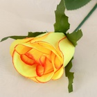 Цветы искусственные «Роза классик лайт», h=53 см, d=5 см, МИКС - Фото 3