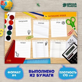 Расписание уроков «Домашнее задание» А4 (комплект 20 шт)