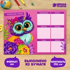 Расписание уроков "Сова" А4 (комплект 20 шт) - фото 20829299