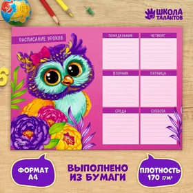 Расписание уроков "Сова" А4 (комплект 20 шт)