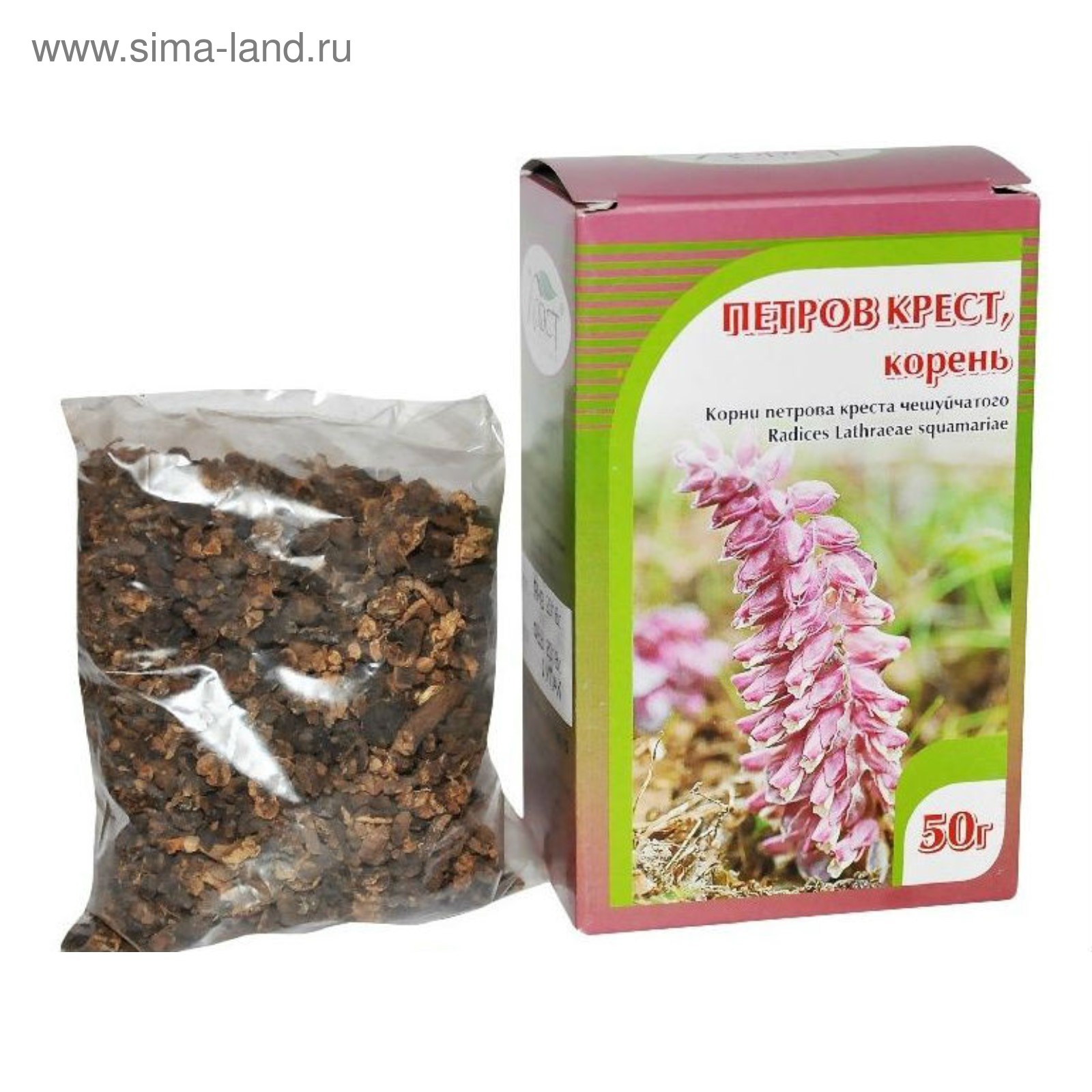 32. Sonntag im Jahreskreis C - Evangelium ( - YouTube