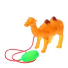 Прыгающий "Верблюд", цвета МИКС - Фото 1