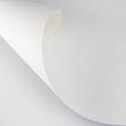 Картон белый, мелованный, 820 х 1040 мм, 1 лист, Calligrata, 215 г/м2, «Финляндия» - Фото 2