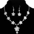 Набор 2 предмета: серьги, колье «Легкий флирт» цветочки - Фото 1