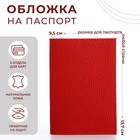 Обложка для паспорта, цвет красный - фото 1778703