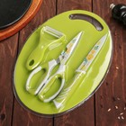 Набор кухонный, 4 предмета: нож, ножницы с антиналипающим покрытием, овощечистка, доска, цвет зелёный - фото 976324