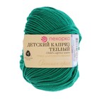 Пряжа "Детский каприз тёплый" 50%меринос. шерсть, 50%фибра 125м/50гр (511 зелёнка) - Фото 2
