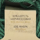 Пряжа "Детский каприз тёплый" 50%меринос. шерсть, 50%фибра 125м/50гр (511 зелёнка) - Фото 3
