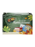 Набор первоклассника, 42 предмета, Calligrata «Классический», в картонной коробке - Фото 19