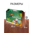 Набор первоклассника, 42 предмета, Calligrata «Классический», в картонной коробке 3571592 - фото 2211500