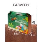 Набор первоклассника, 42 предмета, Calligrata «Классический», в картонной коробке - Фото 3