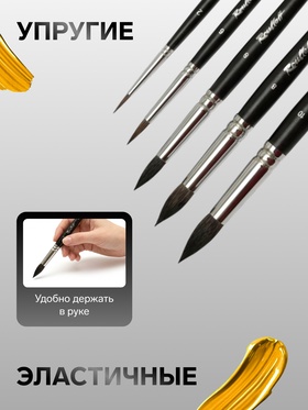 Набор кистей Белка 5 штук Roubloff № 1, круглые: № 2, 3, 6, 8, 10, короткая ручка, в деревянном футляре