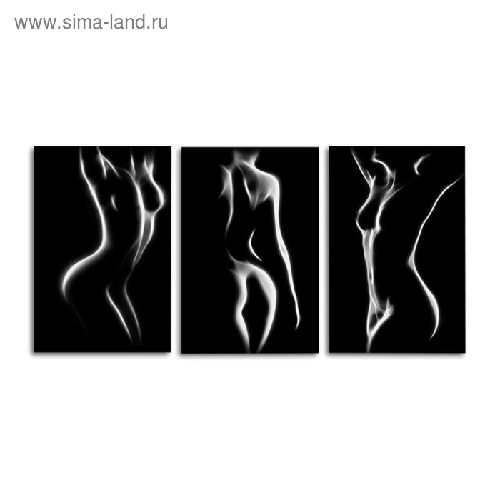Модульная картина "Красивое тело" (3 Части) - размер L - 150x72 см (49x72|49x72|49x72) - Фото 1