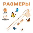 Сачок детский, бамбуковая ручка в горох 60 см, d=25 см, цвета МИКС - Фото 2