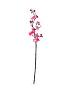 Цветы искусственные «Ветка сакуры», 3?60 см, розовые (комплект 2 шт) - фото 53340646 Цветы искусственные «Ветка сакуры», 3?60 см, розовые (комплект 2 шт) - фото 53340646