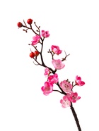 Цветы искусственные «Ветка сакуры», 3?60 см, розовые (комплект 2 шт) - фото 53340647 Цветы искусственные «Ветка сакуры», 3?60 см, розовые (комплект 2 шт) - фото 53340647