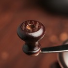 Кофемолка с ручкой «Кофейные зёрна», 12×11,5×16 см, цвет тёмное дерево - Фото 5