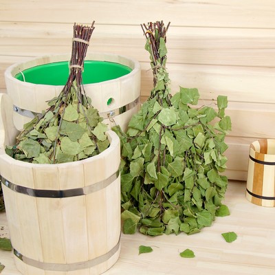 Веник для бани берёзовый в пакете, c подвесом "Добропаровъ"