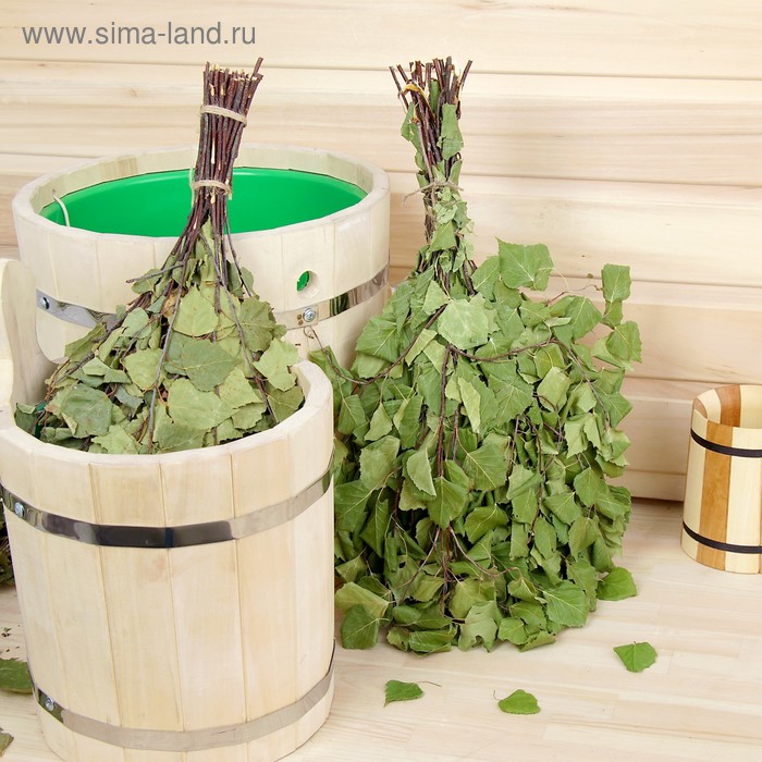 Веник для бани берёзовый в пакете, c подвесом "Добропаровъ"